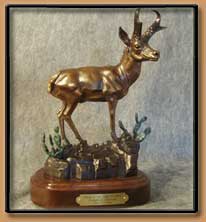 "Prince of the Plains" Pronghorn