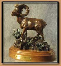 "Southwest Bighorn Sheep" 